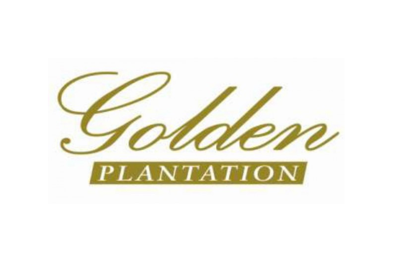 Penjualan Golden Plantations Turun Jadi Rp6,13 Miliar Hingga Juni 2020
